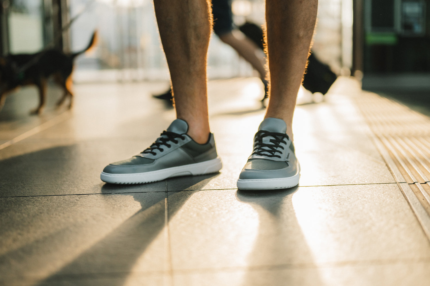 Barefoot Sneakers Barebarics Bravo - Grey & White