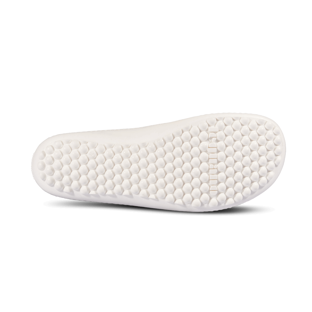 leguano juno: sailor 41