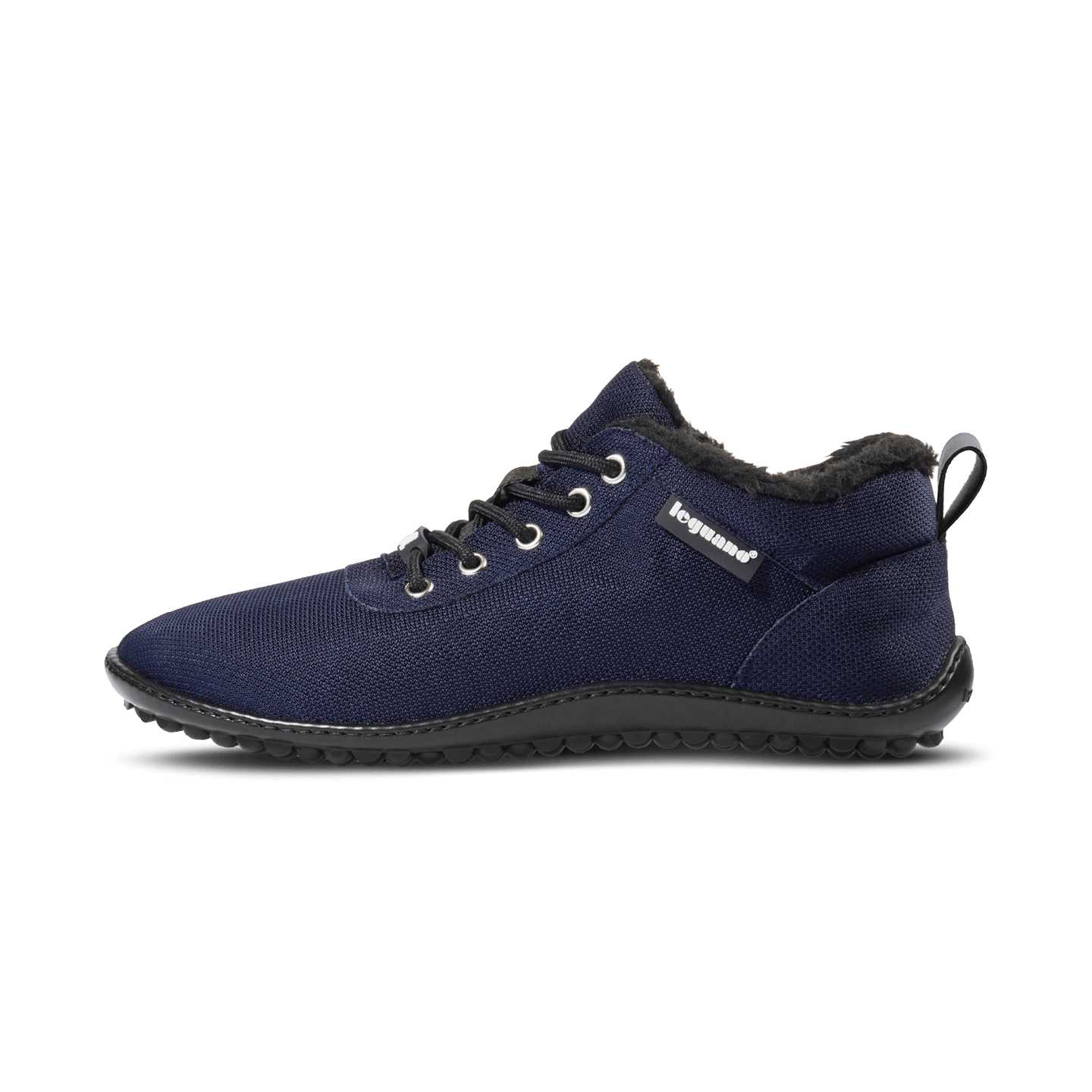 Leguano Glaxo Blue