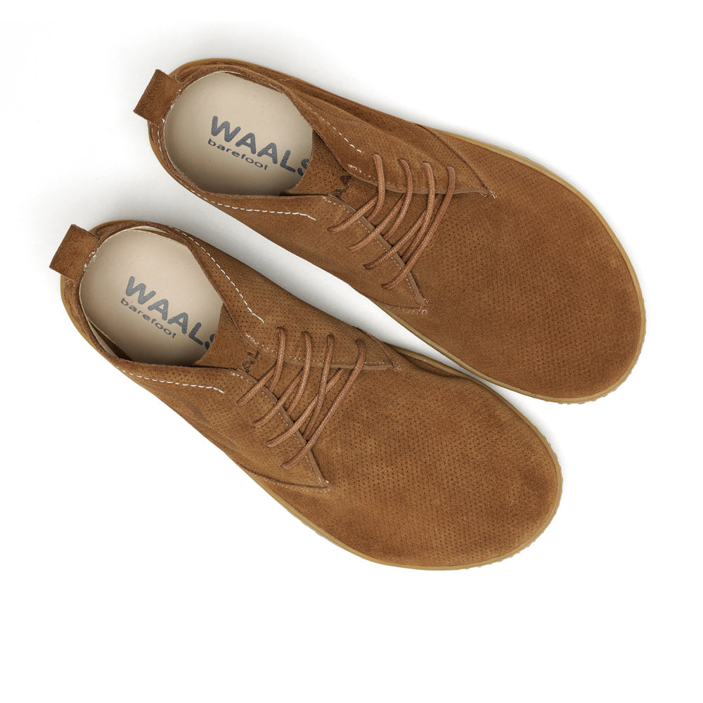 Waals - Riff Setter.