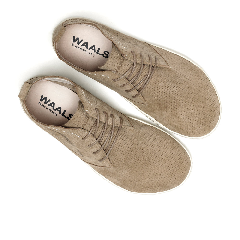 Waals - Riff Stone.