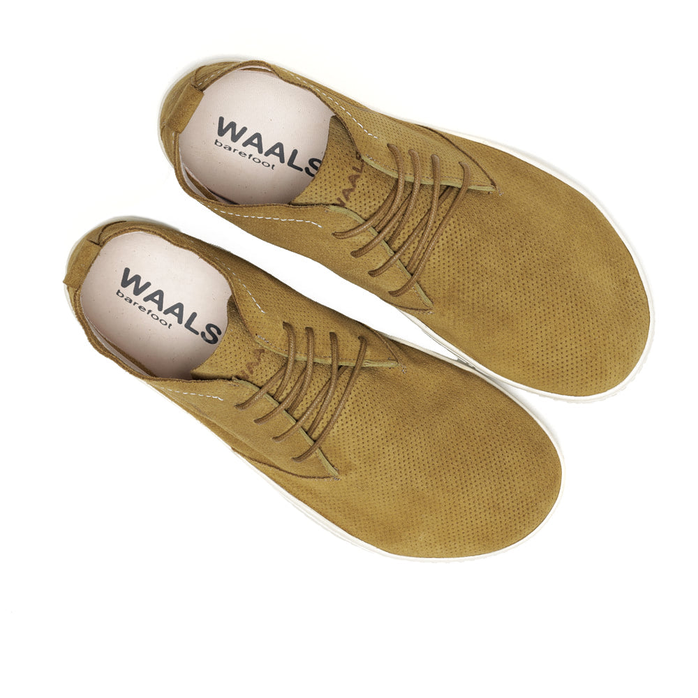 Waals - Riff Kaki.