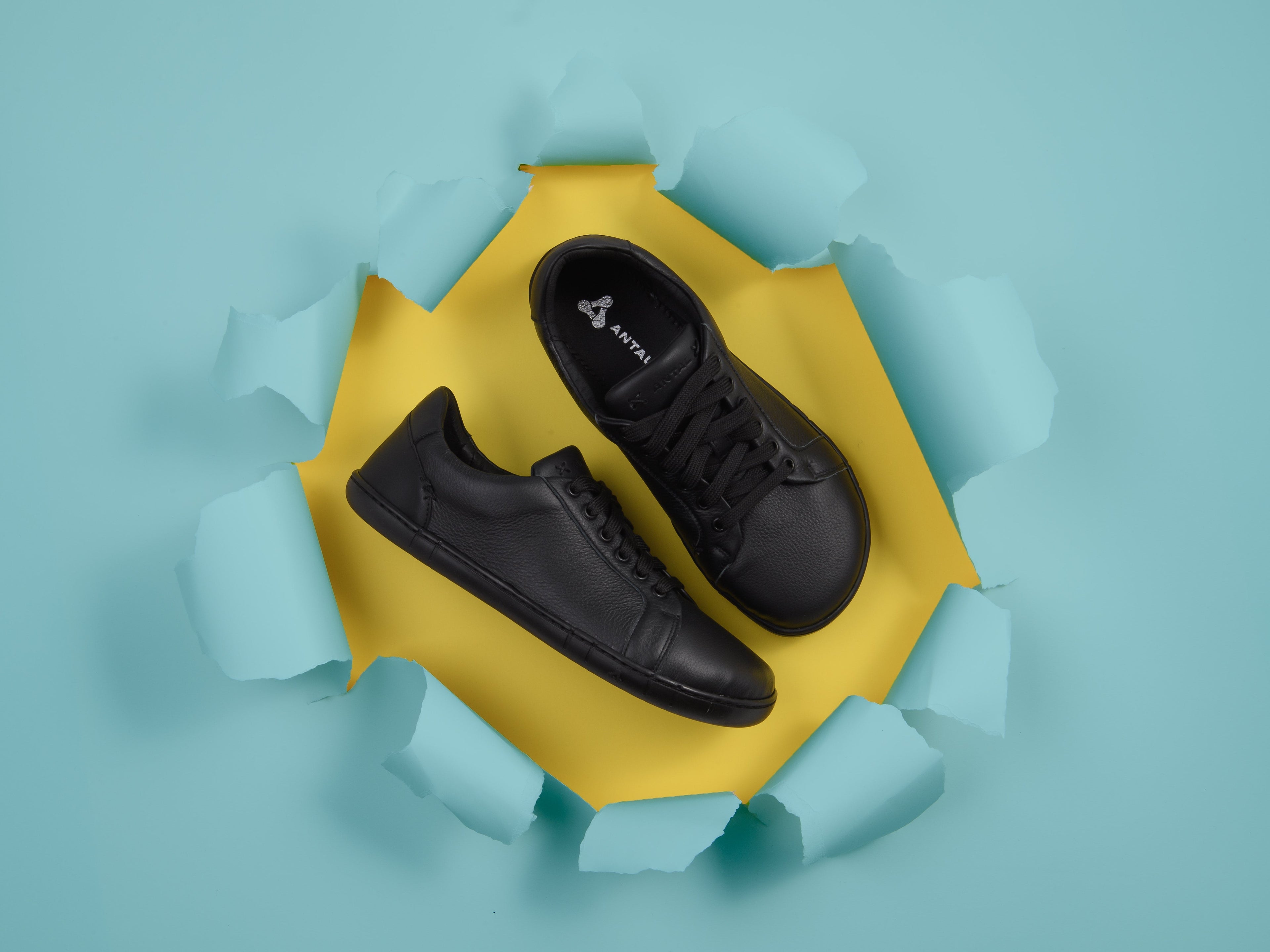 Antal Camino Black.