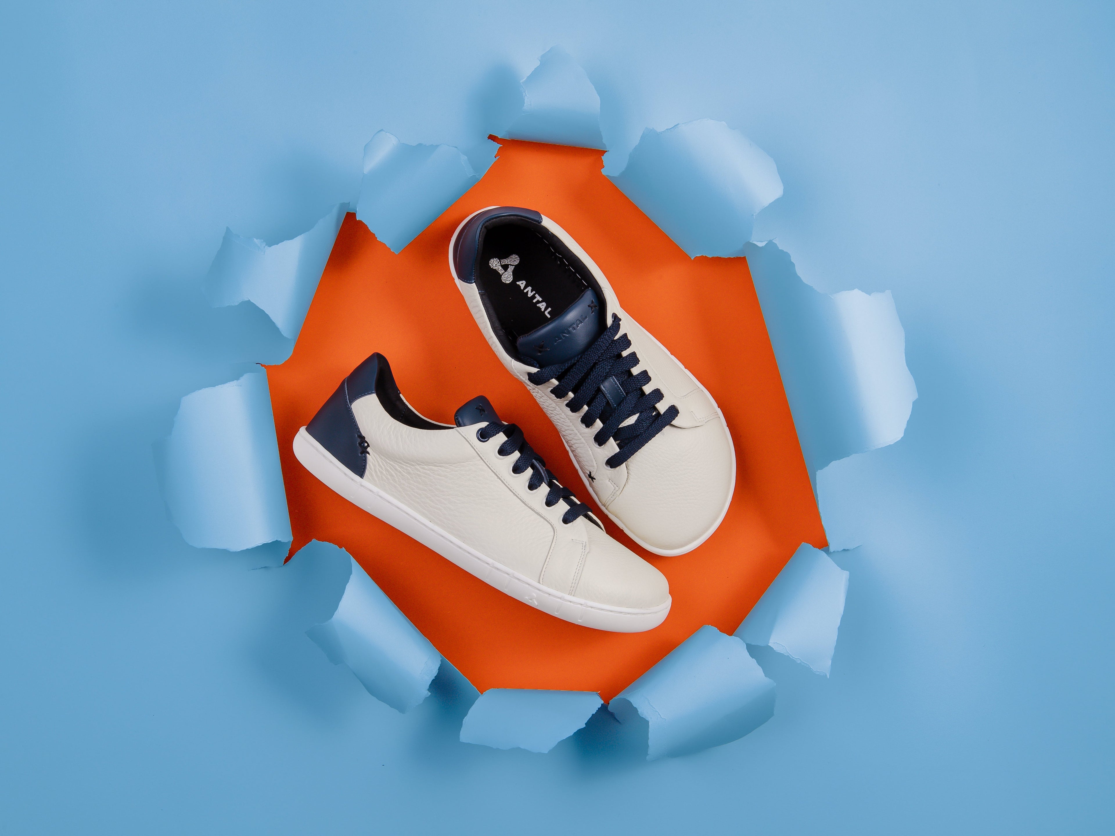 Antal Camino Blue.