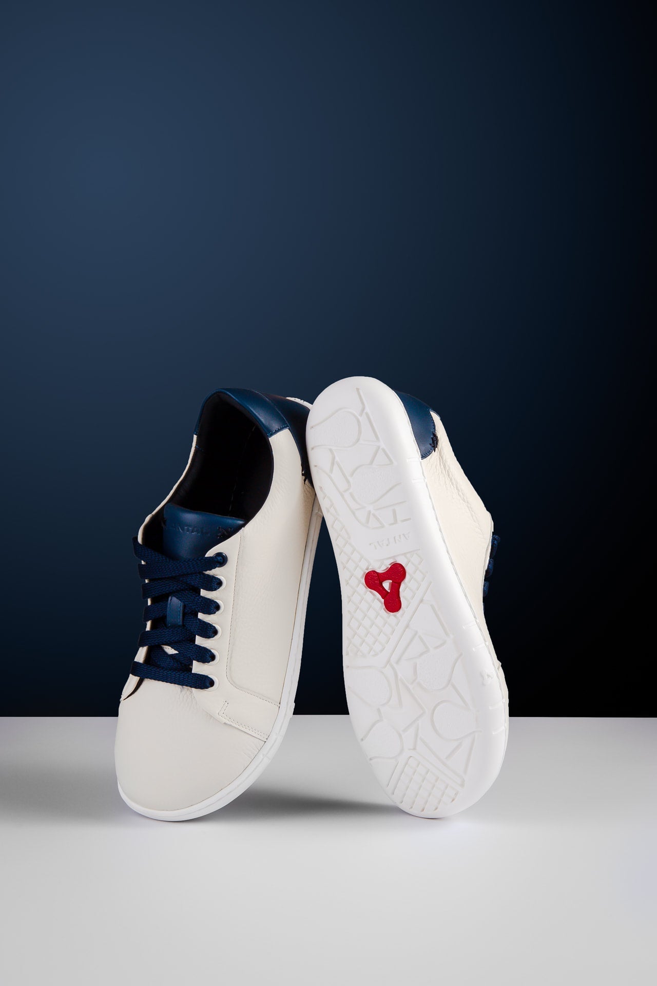Antal Camino Blue.