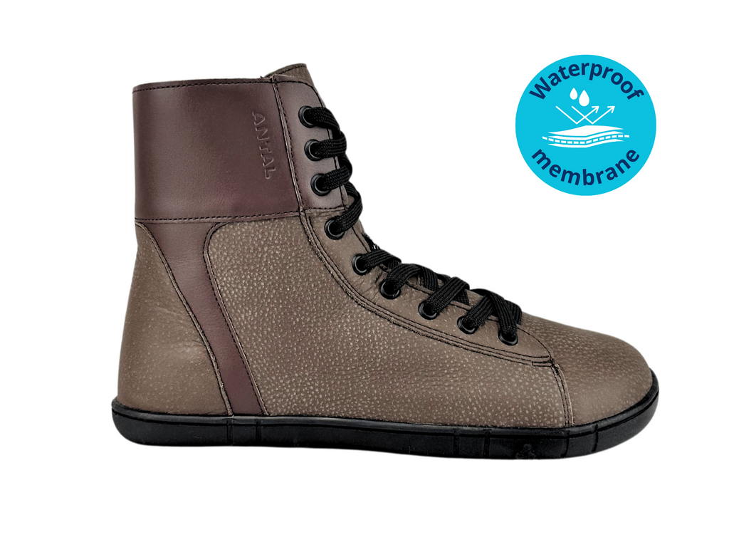 Antal Lanapura Brown.