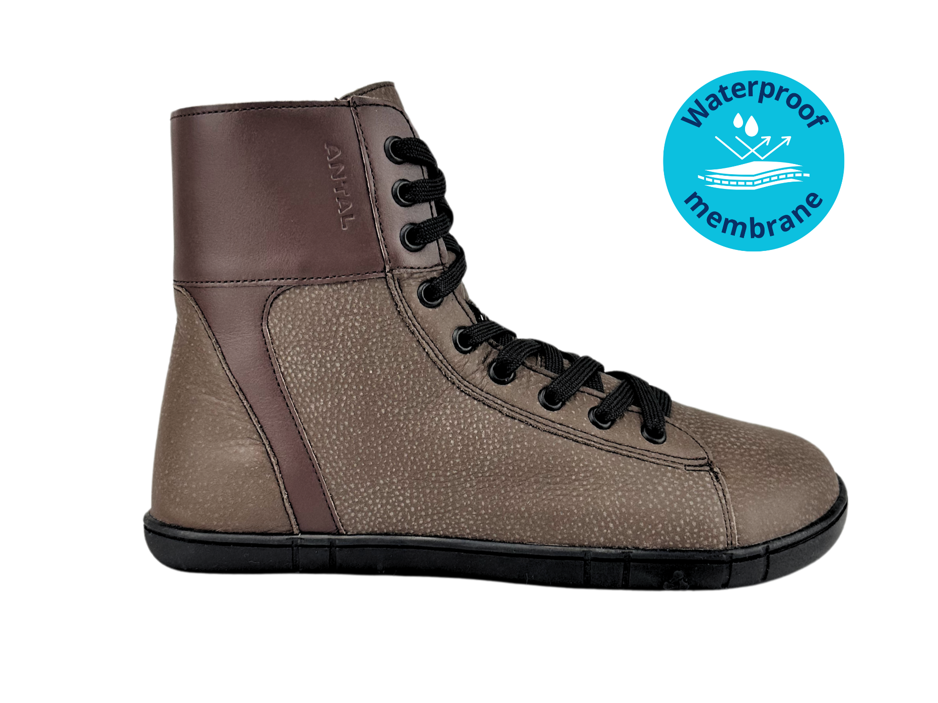 Antal Lanapura Brown.