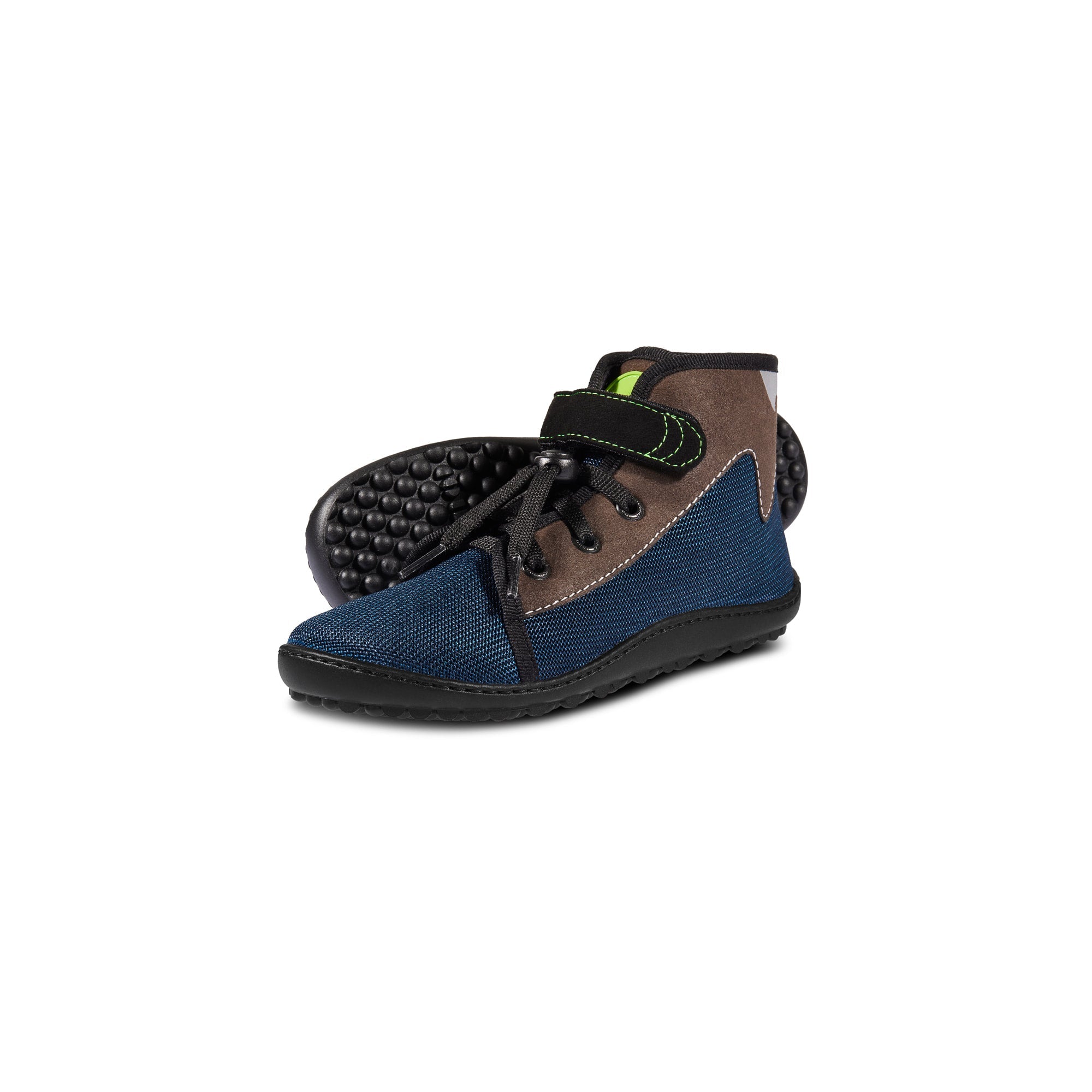 LEGUANITO Scippo blue.