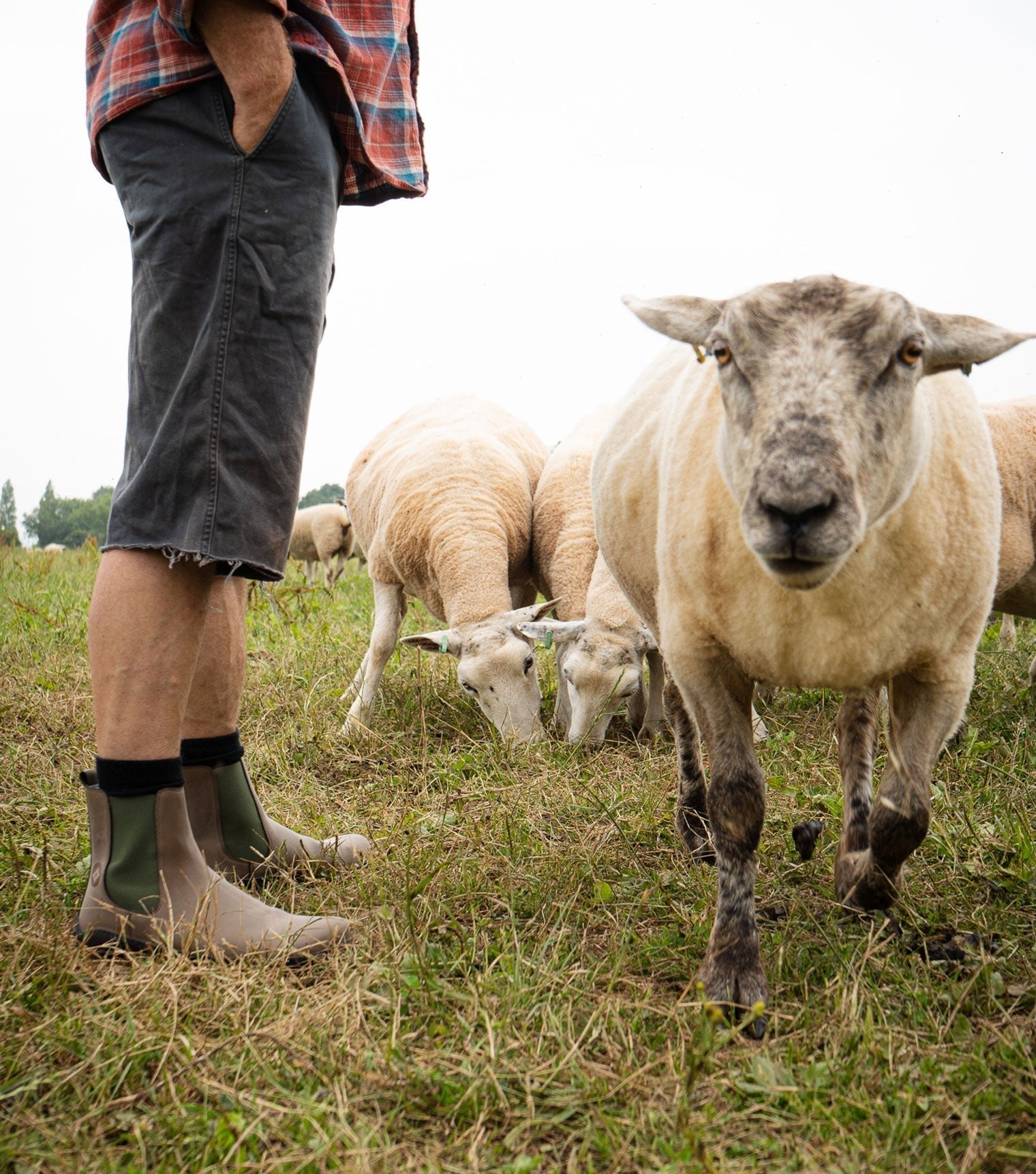 Sneaky Ninjas | Barefoot Safety Chelsea Boots in Light Brown - Barefoot Shoe Store